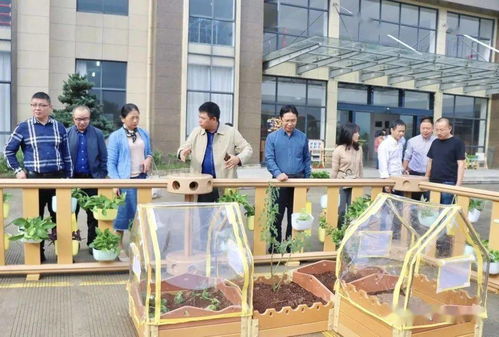 貝瑪教育 麗水市學(xué)前教育專家實(shí)地參觀指導(dǎo)，共促教育發(fā)展